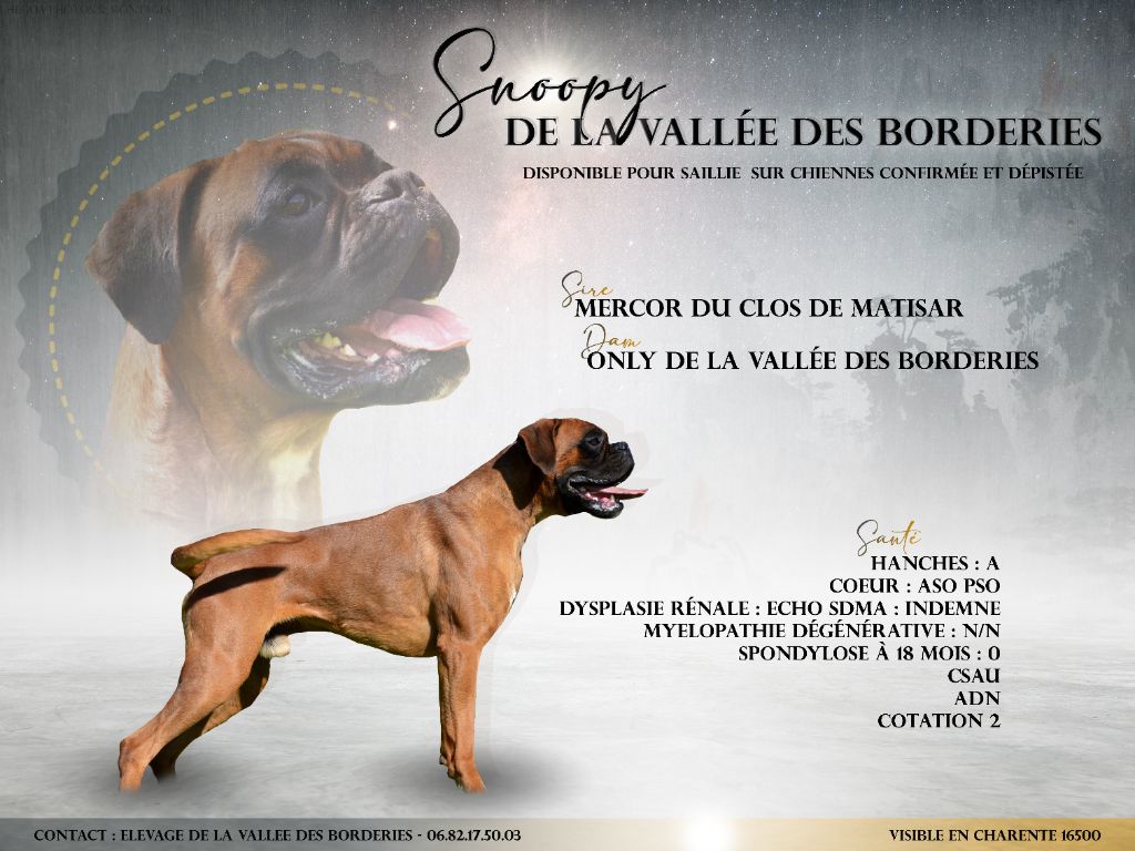 Snoopy De La Vallée Des Borderies