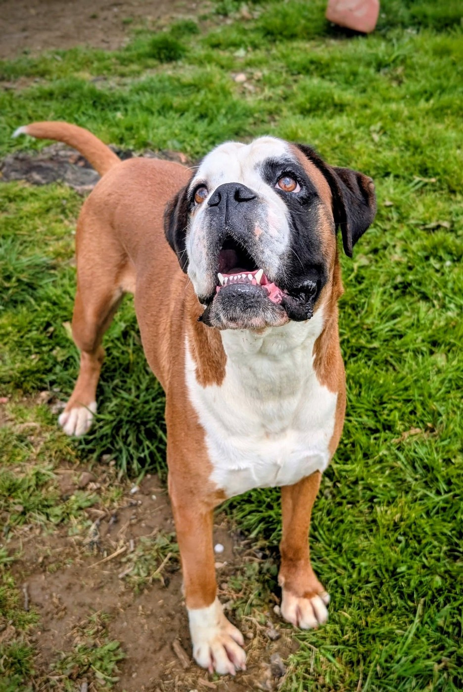 U'paupiette De La Vallée Des Borderies