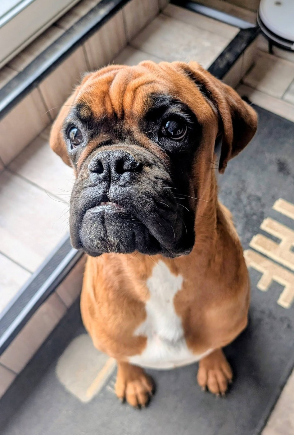 Anaya De La Vallée Des Borderies