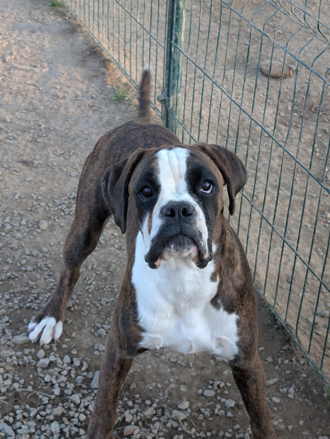 A donner dans famille 5*